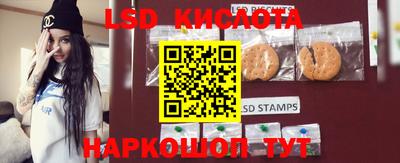 прущие грибы Жуковский