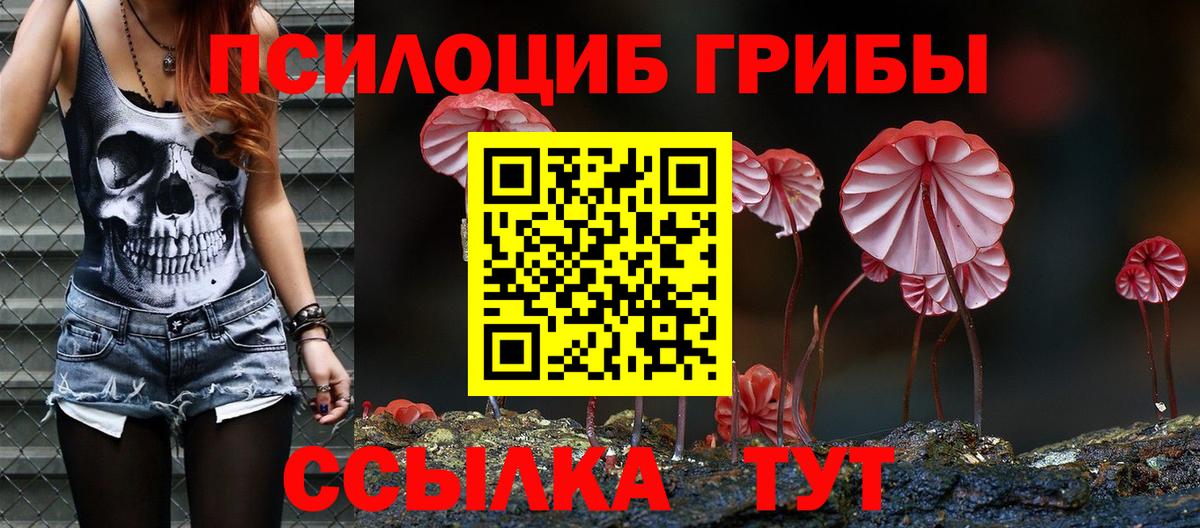 Галлюциногенные грибы прущие грибы  Псилоцибиновые грибы мицелий  Вход с VPN  Муравленко 
