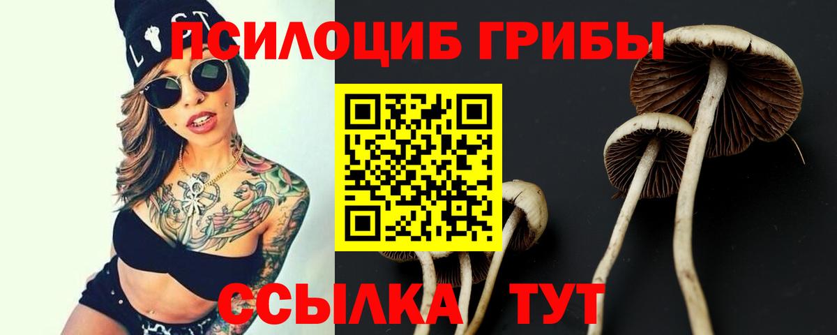 Галлюциногенные грибы Cubensis Муравленко